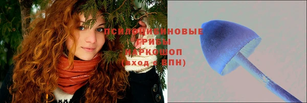 тгк Алексин