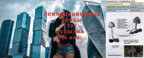 тгк Алексин