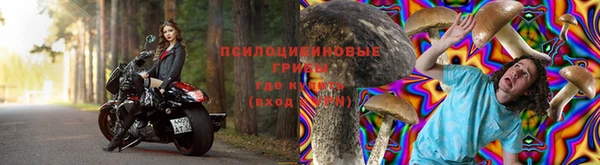 а пвп мука Алзамай
