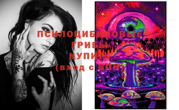 тгк Алексин